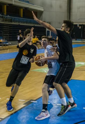 Fotó: Molnár Péter